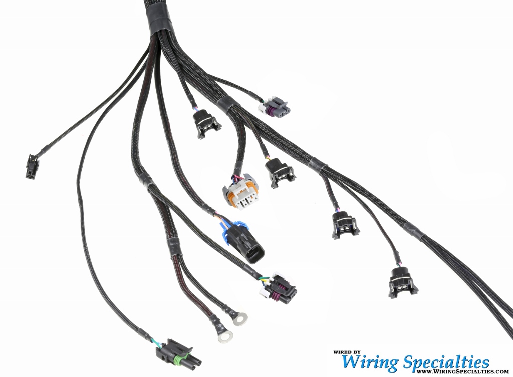 BMW E36 LS1 Wiring Harness | SIKKY