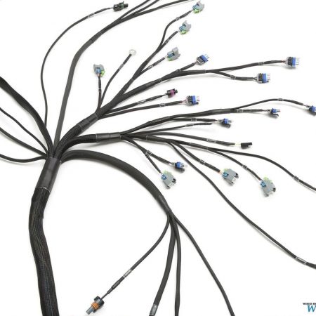 GM 6.2L LS3/L99 6.2L Standalone Wiring Harness | SIKKY